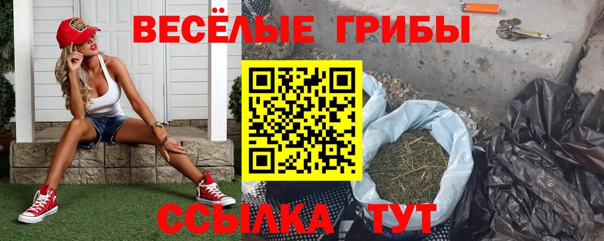 Галлюциногенные грибы Magic Shrooms Чайковский