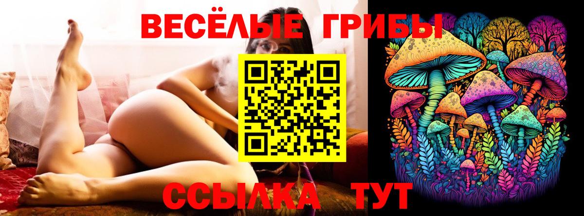 Чайковский  Галлюциногенные грибы GOLDEN TEACHER  Вход с VPN  Псилоцибиновые грибы мицелий 